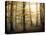 Yellow Forest-Philippe Manguin-Premier Image Canvas