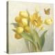 Yellow French Tulips-Danhui Nai-Stretched Canvas