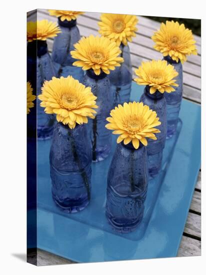 Yellow Gerberas in Blue Bottles-Elke Borkowski-Premier Image Canvas