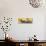 Yellow Gingko I-Rita Crane-Stretched Canvas displayed on a wall