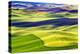 Yellow Green Wheat Fields Black Dirt Fallow Land from Steptoe Butte at Palouse, Washington State-William Perry-Premier Image Canvas