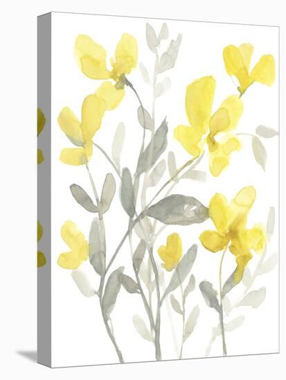 Yellow & Grey Garden II-Jennifer Goldberger-Stretched Canvas