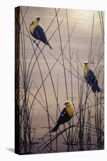 Yellow Headed B Birds-Jeff Tift-Premier Image Canvas