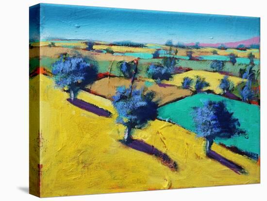 Yellow Hill (acrylic on canvas, 2021)-Paul Powis-Premier Image Canvas