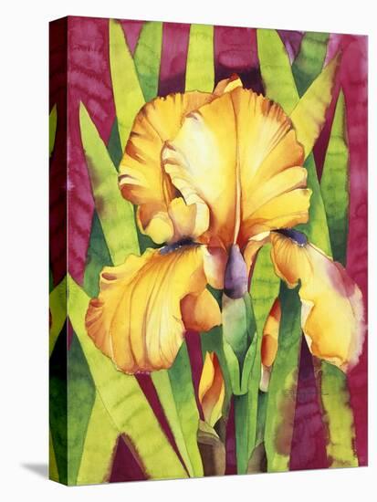 Yellow Iris with Maroon Back-Mary Russel-Premier Image Canvas