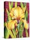 Yellow Iris with Maroon Back-Mary Russel-Premier Image Canvas