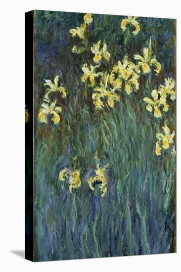 Yellow Irises, 1914-1917-Claude Monet-Premier Image Canvas