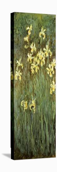 Yellow Irises-Claude Monet-Premier Image Canvas