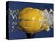 Yellow Jawbreaker Broken-Alan Sailer-Premier Image Canvas