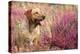 Yellow Labrador Dog-null-Premier Image Canvas