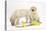 Yellow Labrador Retriever Bitch Puppies, 10 Weeks, Lying with Yellow Daffodils-Mark Taylor-Premier Image Canvas