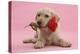 Yellow Labrador Retriever Bitch Puppy, 10 Weeks, with a Red Rose-Mark Taylor-Premier Image Canvas