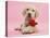 Yellow Labrador Retriever Bitch Puppy, 10 Weeks, with a Red Rose-Mark Taylor-Premier Image Canvas