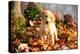 Yellow Labrador retriever puppy standing on autumn leaves-Lynn M. Stone-Premier Image Canvas