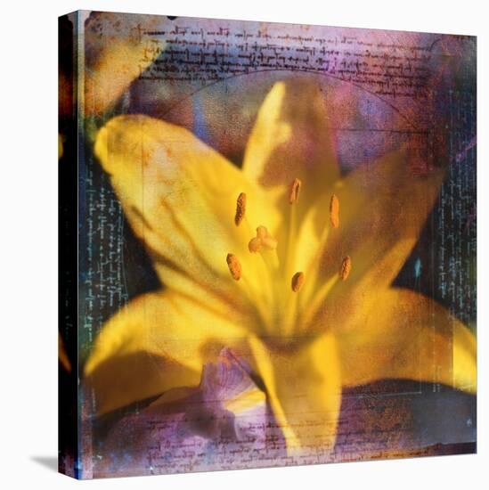 Yellow Lily and Text-Colin Anderson-Premier Image Canvas