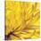 Yellow Mum 2-Jenny Kraft-Stretched Canvas