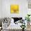 Yellow Mum 4-Jenny Kraft-Stretched Canvas displayed on a wall