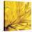 Yellow Mum II-Jenny Kraft-Stretched Canvas