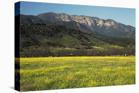 Yellow Mustard and Topa Topa Mountains in Spring, Upper Ojai, California, Usa, 04.26.2014-Joseph Sohm-Premier Image Canvas