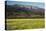 Yellow Mustard and Topa Topa Mountains in Spring, Upper Ojai, California, Usa, 04.26.2014-Joseph Sohm-Premier Image Canvas