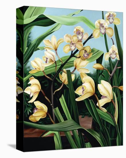 Yellow Orchids-Pamela Jablonski-Stretched Canvas