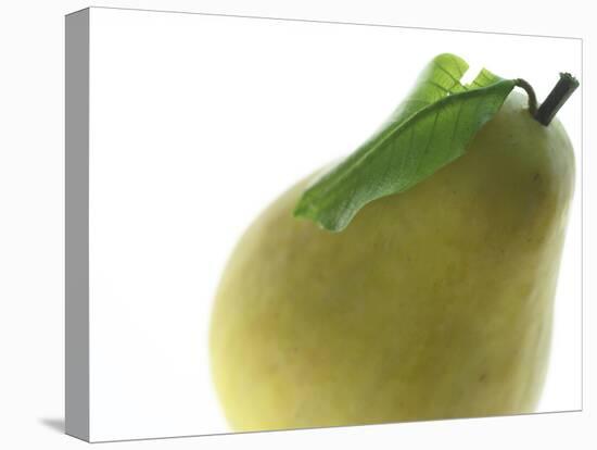 Yellow Pear-null-Premier Image Canvas