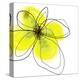 Yellow Petals Four-Jan Weiss-Stretched Canvas