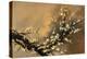 Yellow Plum Blossom-Thomas Leung-Premier Image Canvas