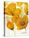 Yellow Poppies-Cherie Roe Dirksen-Premier Image Canvas