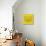 Yellow Raccoon Polygon-Lisa Kroll-Stretched Canvas displayed on a wall