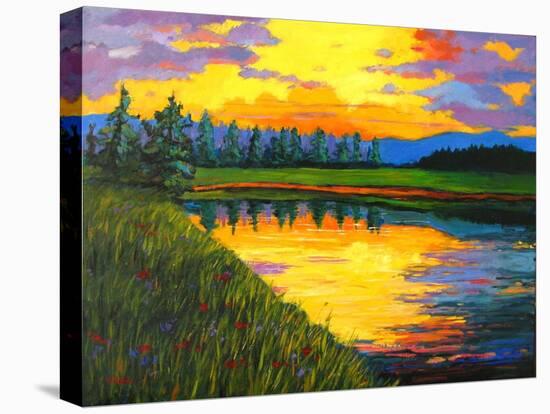 Yellow Reflections on Voorhis Pond-Patty Baker-Stretched Canvas
