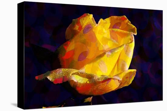 Yellow Rose-Scott J. Davis-Premier Image Canvas