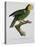 Yellow-Shouldered Parrot-Jacques Barraband-Premier Image Canvas