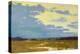 Yellow Sky-Carol Strock Wasson-Stretched Canvas