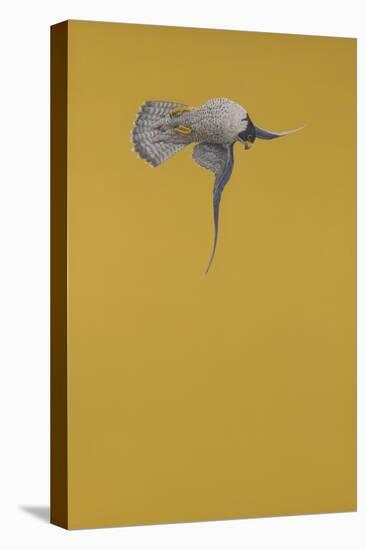 Yellow Stoop-Tim Hayward-Premier Image Canvas