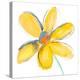 Yellow Summer Daisy-Susan Bryant-Stretched Canvas