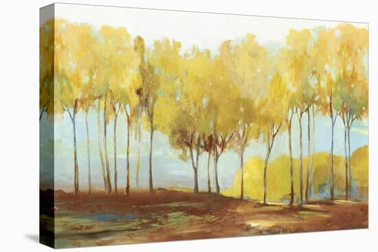 Yellow trees-Allison Pearce-Stretched Canvas