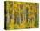 Yellow Woods II-David Drost-Premier Image Canvas