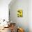 Yellow-Vaan Manoukian-Stretched Canvas displayed on a wall