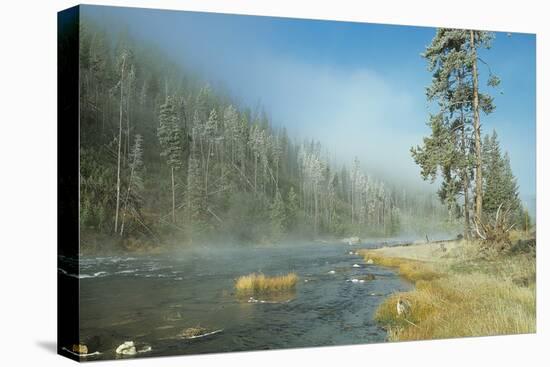 Yellowstone 01-Gordon Semmens-Premier Image Canvas