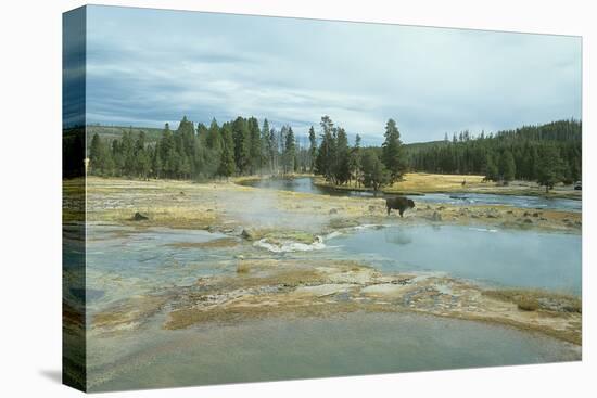 Yellowstone 03-Gordon Semmens-Premier Image Canvas