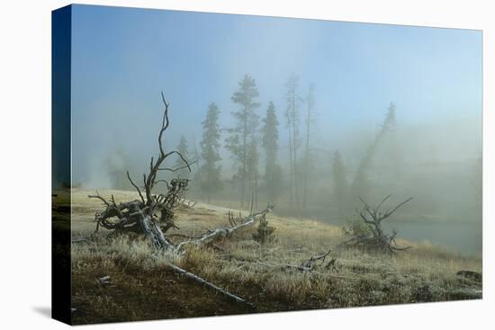 Yellowstone 04-Gordon Semmens-Premier Image Canvas