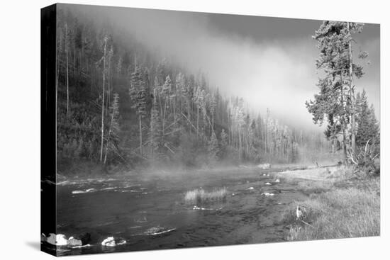 Yellowstone 1-Gordon Semmens-Premier Image Canvas