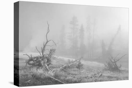 Yellowstone 3-Gordon Semmens-Premier Image Canvas