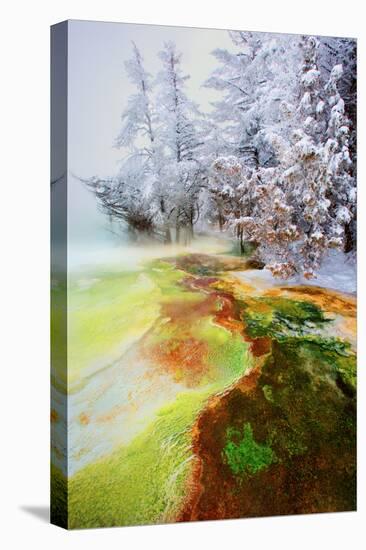 Yellowstone Basin-Howard Ruby-Premier Image Canvas
