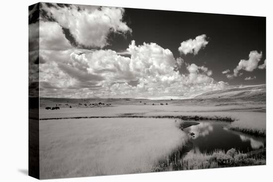 Yellowstone Creek and Clouds I-George Johnson-Premier Image Canvas