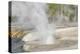 Yellowstone National Park, Biscuit Geyser Basin. Steam rising from the small geysers.-Ellen Goff-Premier Image Canvas