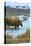 Yellowstone National Park - Moose Drinking in Lake-Lantern Press-Stretched Canvas