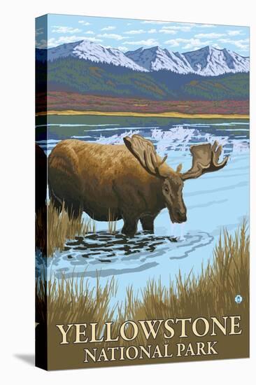 Yellowstone National Park - Moose Drinking in Lake-Lantern Press-Stretched Canvas