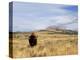 Yellowstone National Park, Wyoming, USA-Rolf Nussbaumer-Premier Image Canvas